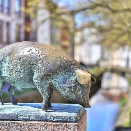 Ohlerich Speicher App_ 08 Wißmar